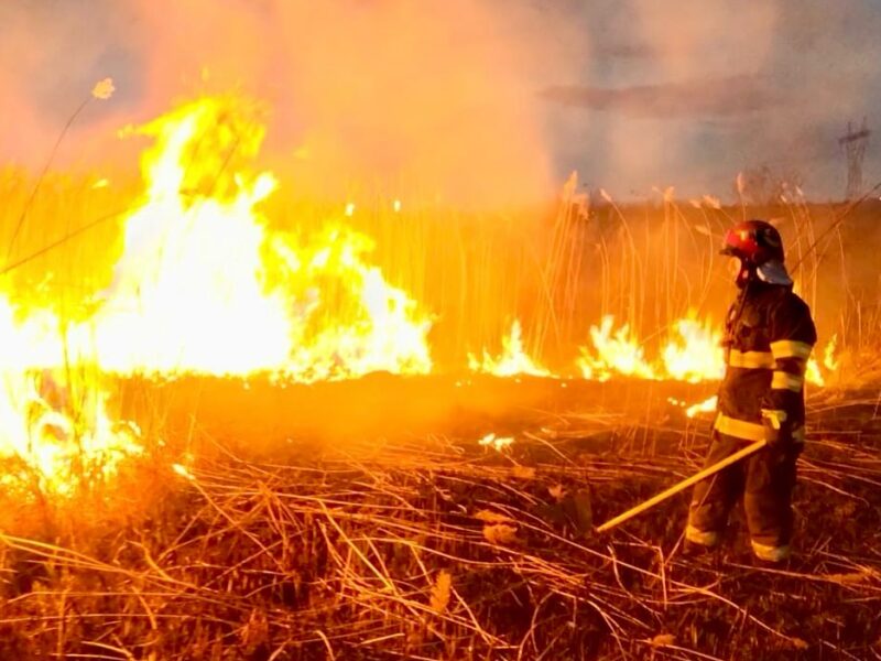 peste 90 de incendii de vegetație în luna februarie în județul sibiu. un incendiu din câmpșor a provocat și trei victime