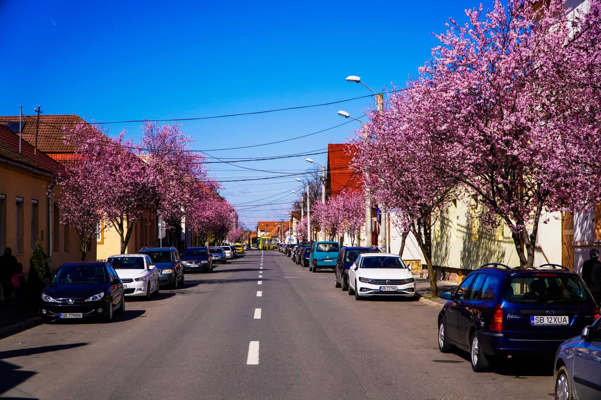 lista celor mai votate proiecte de bugetare participativă a sibiului. oamenii vor printre altele o oază urbană în piața aurarilor