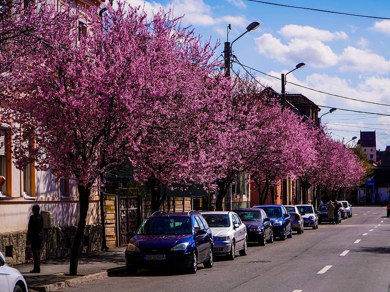 prognoza meteo. se încălzește vremea în următoarele două săptămâni