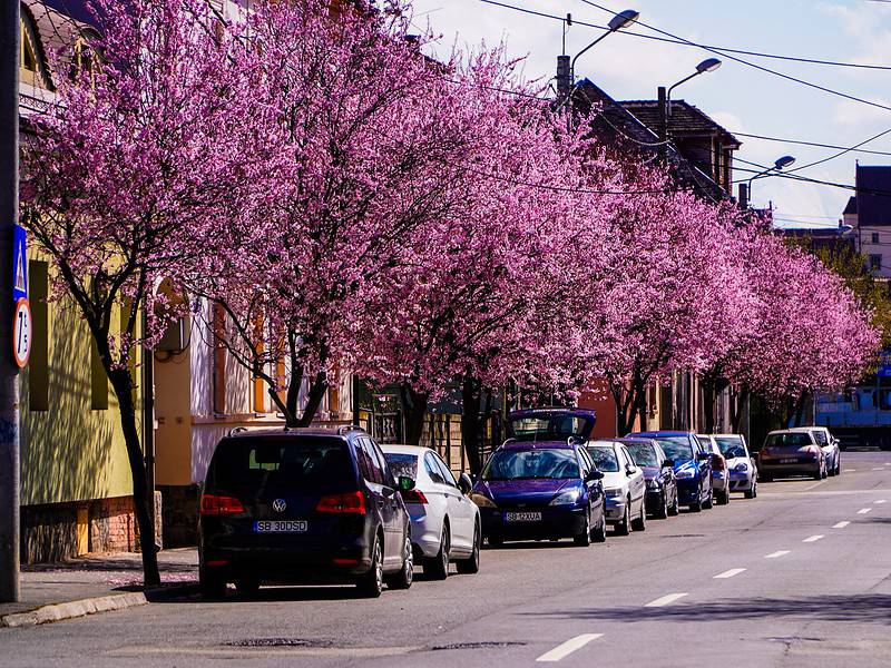 vreme caldă și însorită în românia. prognoza meteo pentru următoarele patru săptămâni