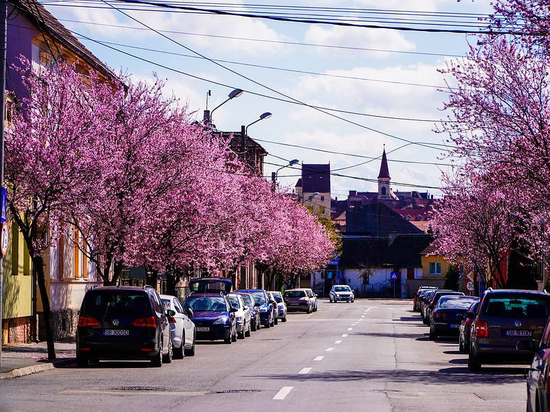 Zile autentice de primăvară. Vor fi chiar și 20 de grade în unele zone