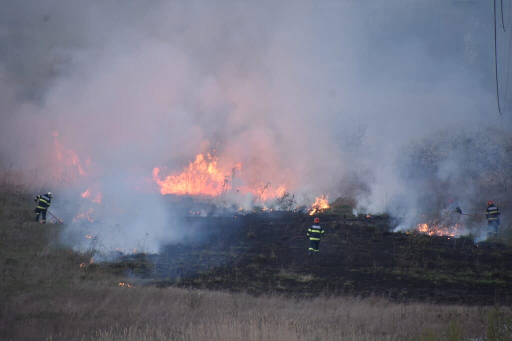 turnișor: incendiu de vegetație lichidat de pompieri în 20 de minute. video și foto de la cititori