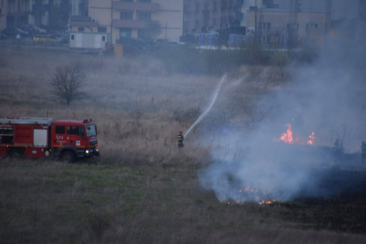 turnișor: incendiu de vegetație lichidat de pompieri în 20 de minute. video și foto de la cititori