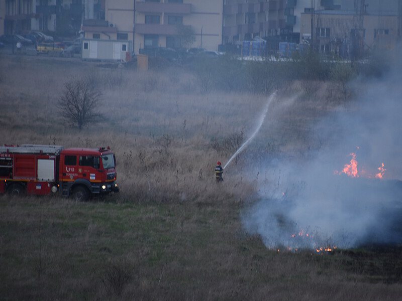 turnișor: incendiu de vegetație lichidat de pompieri în 20 de minute. video și foto de la cititori