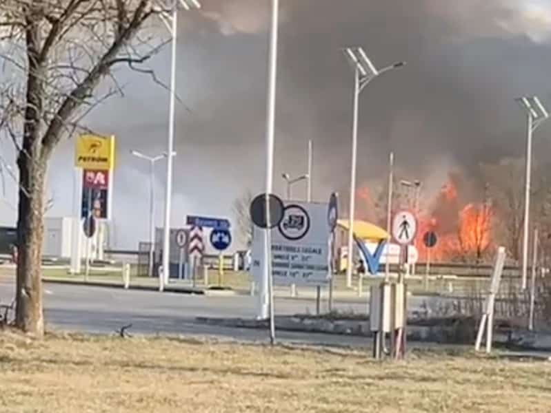 la un pas de o catastrofă. incendiu de vegetație la câțiva metri de o benzinărie de pe dn1 la veștem (video)