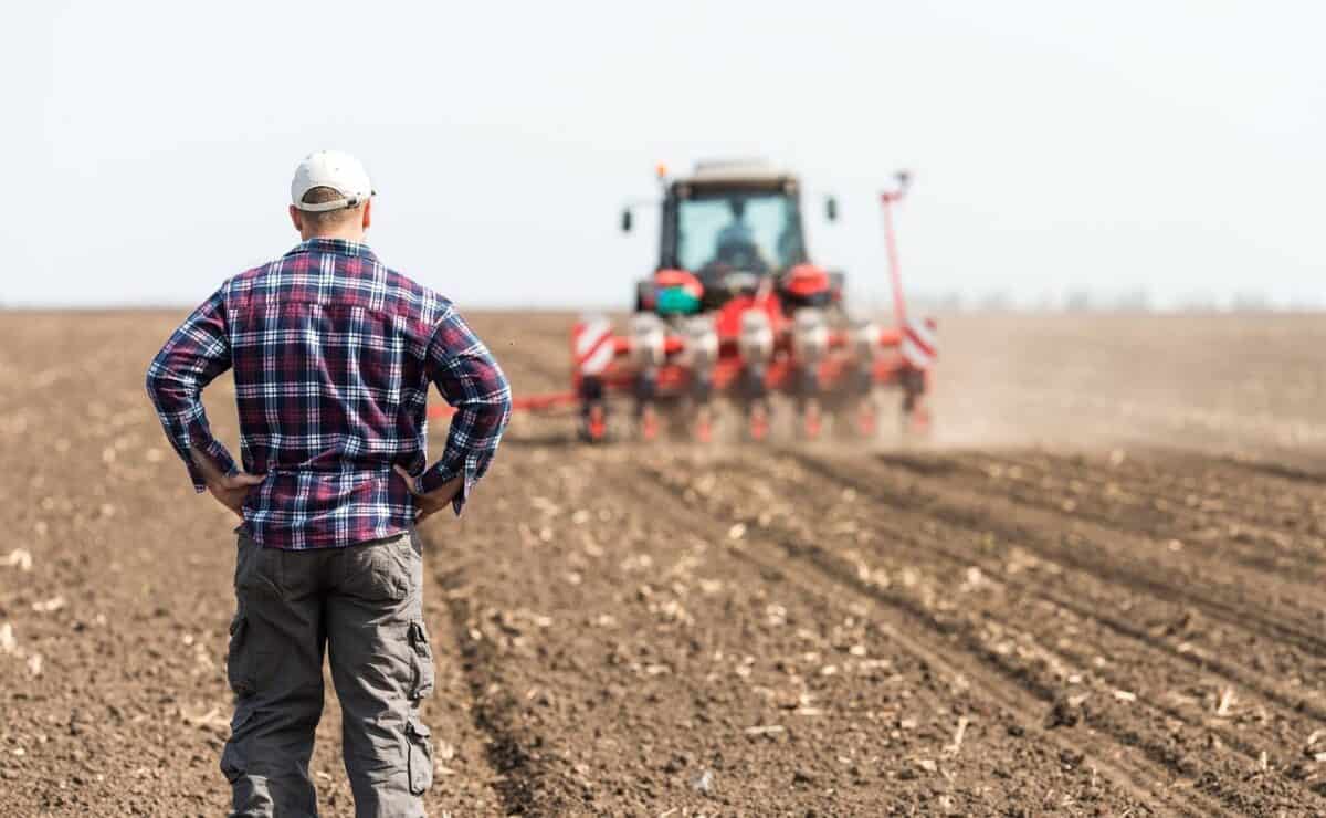 Subvenții pentru fermieri: Toți banii vor fi virați până la sfârșitul lunii martie