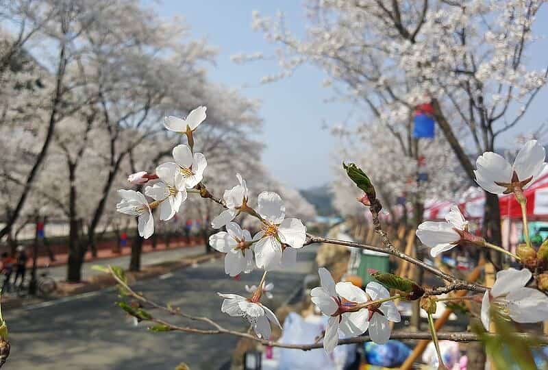 prognoza meteo pentru următoarele două săptămâni. ce transmit meteorologii