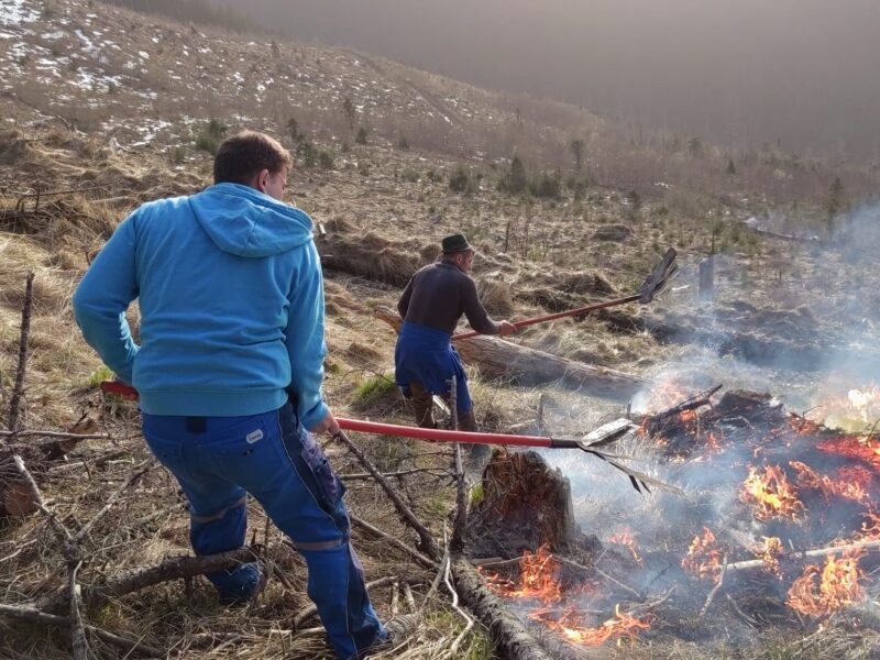 arde pădurea în munții făgăraș. misiune aproape imposibilă pentru pompieri (video)