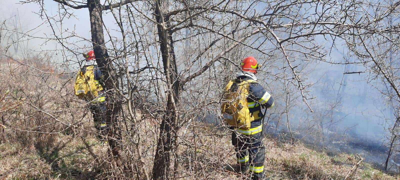 Anexă gospodărească mistuită de flăcări la Motiș din cauza unui incendiu de vegetație pus intenționat