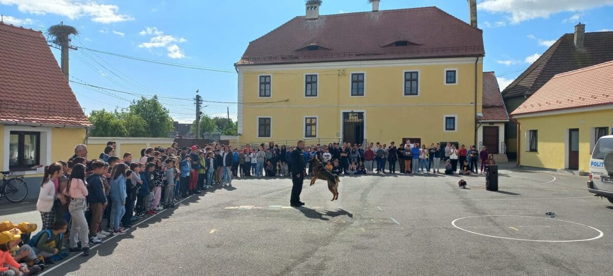 polițiștii sibieni au marcat "săptămâna verde" prin campanii de informare și prevenire în școli (foto)