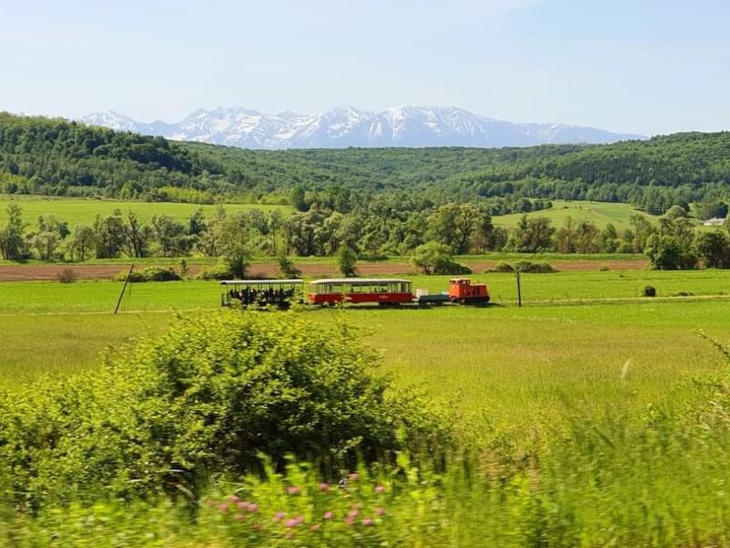 plimbări cu mocănița pe valea hârtibaciului. cursele se reiau duminică