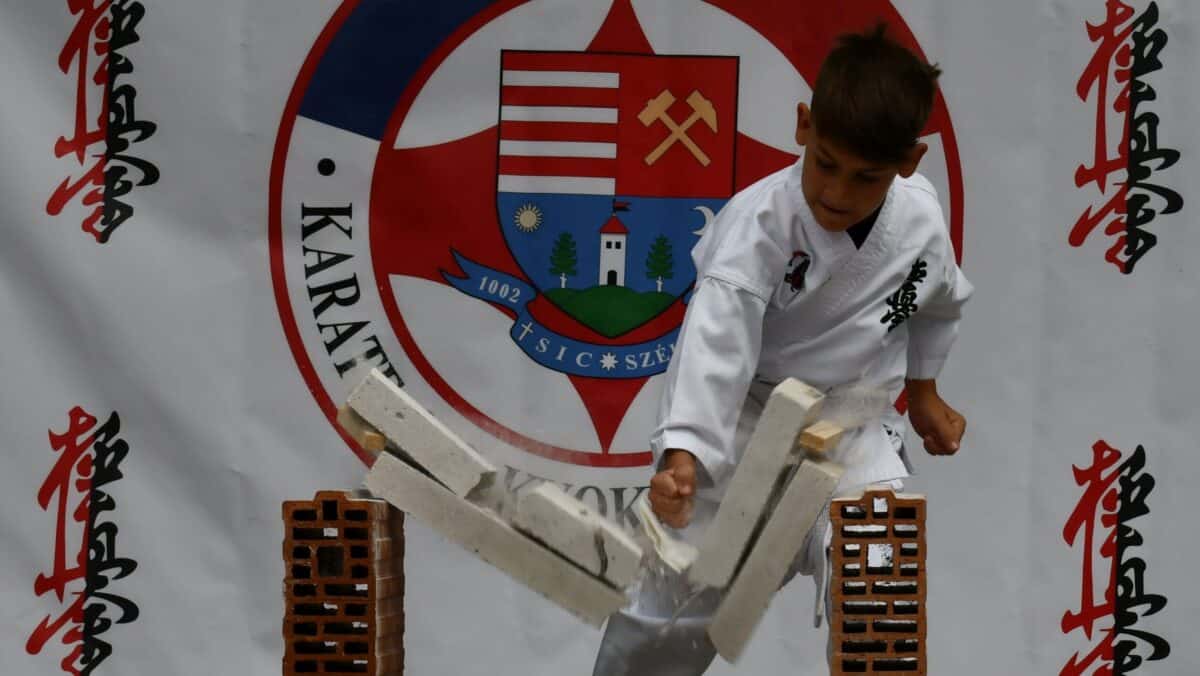 Sibianul Nicholas Mărginean a devenit vicecampion național în proba de kumite a Campionatului Național de Karate Kyokushin Se trim