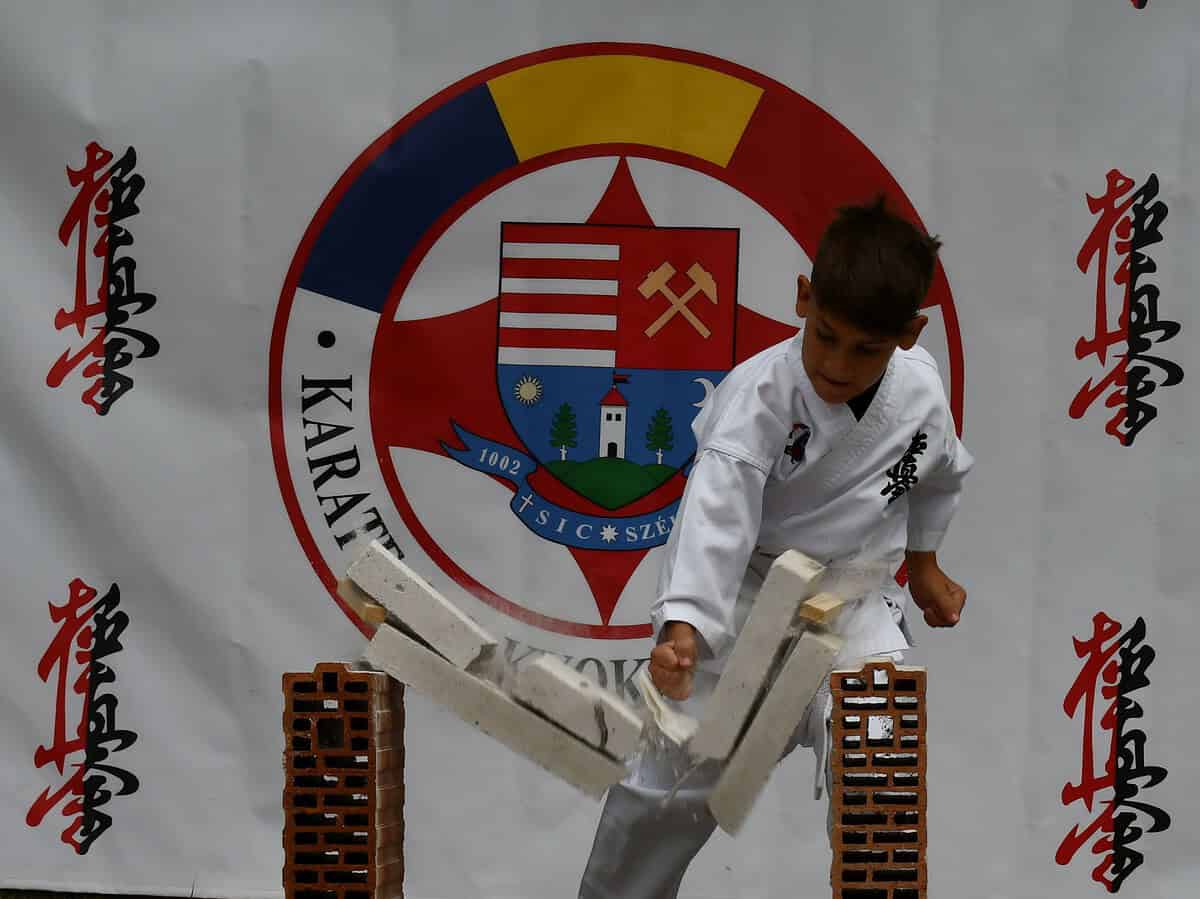 Sibianul Nicholas Mărginean a devenit vicecampion național în proba de kumite a Campionatului Național de Karate Kyokushin Se trim