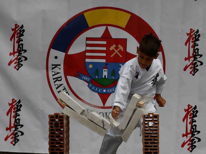 sibianul nicholas mărginean a devenit vicecampion național în proba de kumite a campionatului național de karate kyokushin se trim