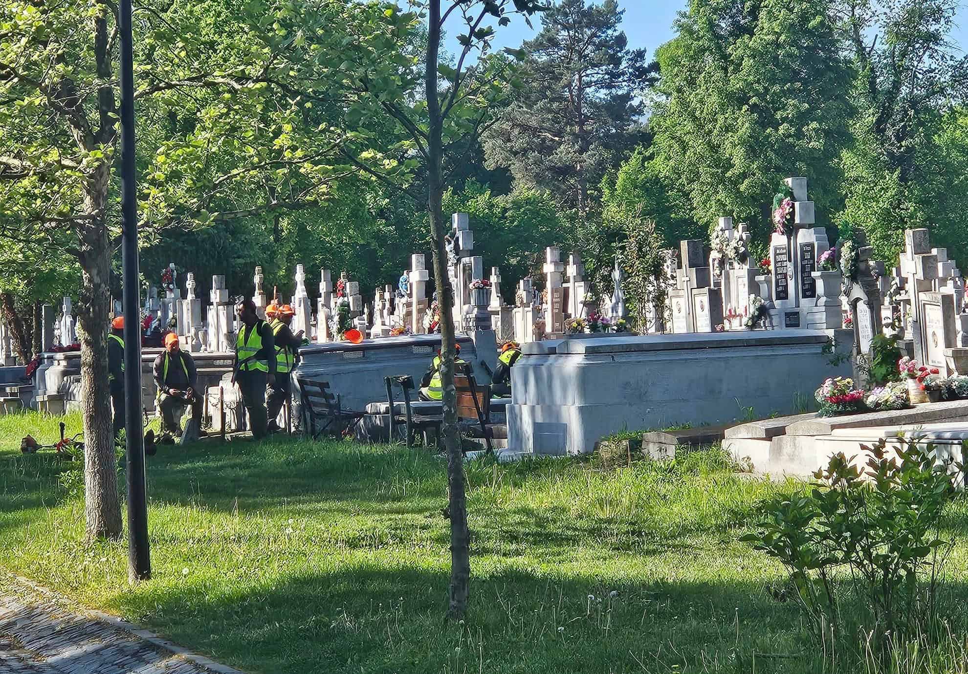 Salcia la mare căutare în Cimitir şi în pieţele din Sibiu de Florii