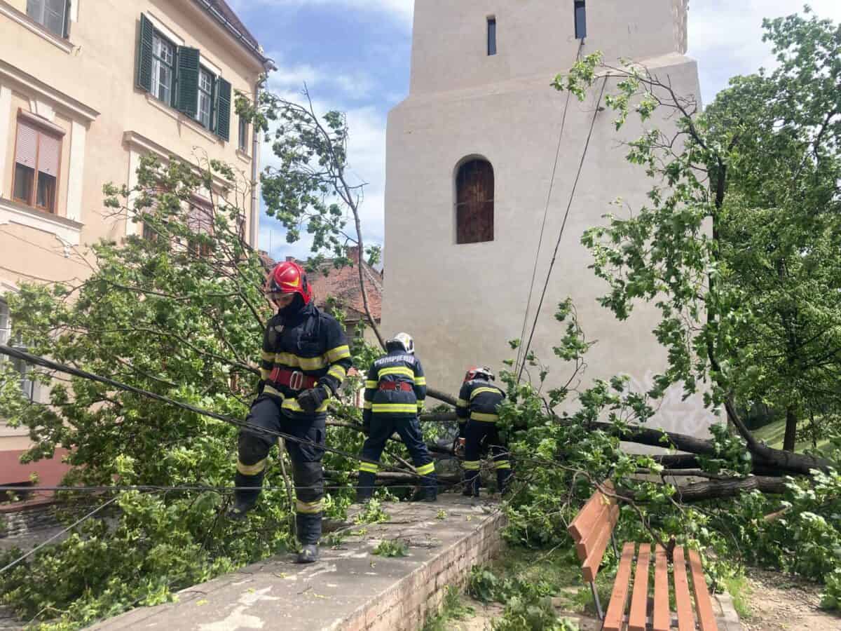 copaci doborâți de vânt în parcul cetății și în sub arini (foto video)