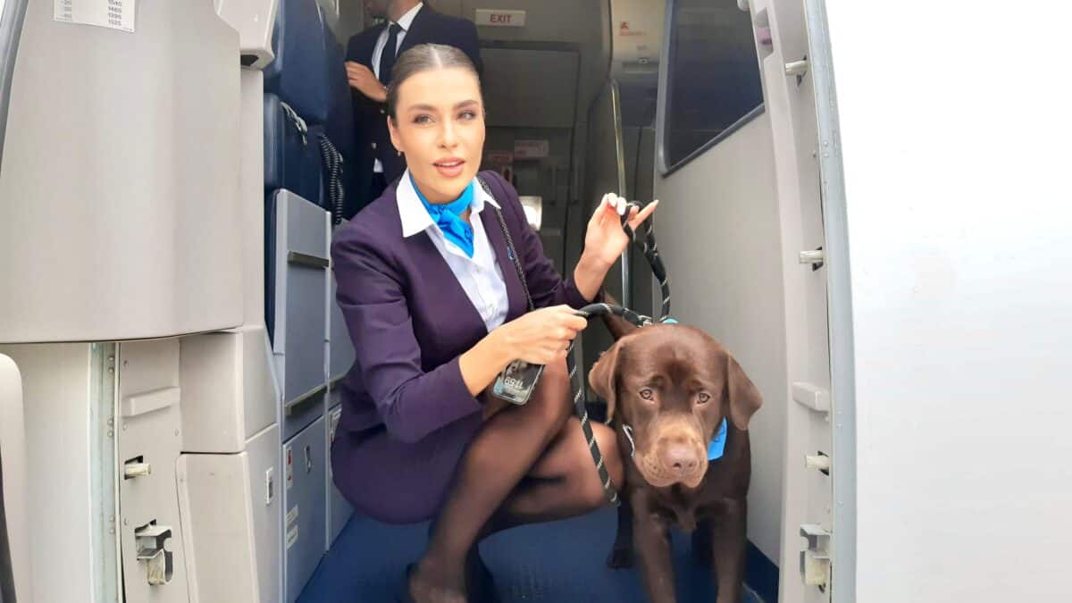 Motivul pentru care prima companie aeriană din Sibiu se numește Fly Lili și de ce a fost adus un câine la lansarea acesteia