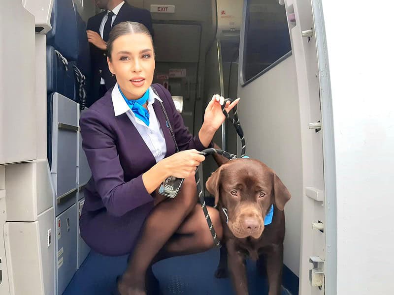 motivul pentru care prima companie aeriană din sibiu se numește fly lili și de ce a fost adus un câine la lansarea acesteia