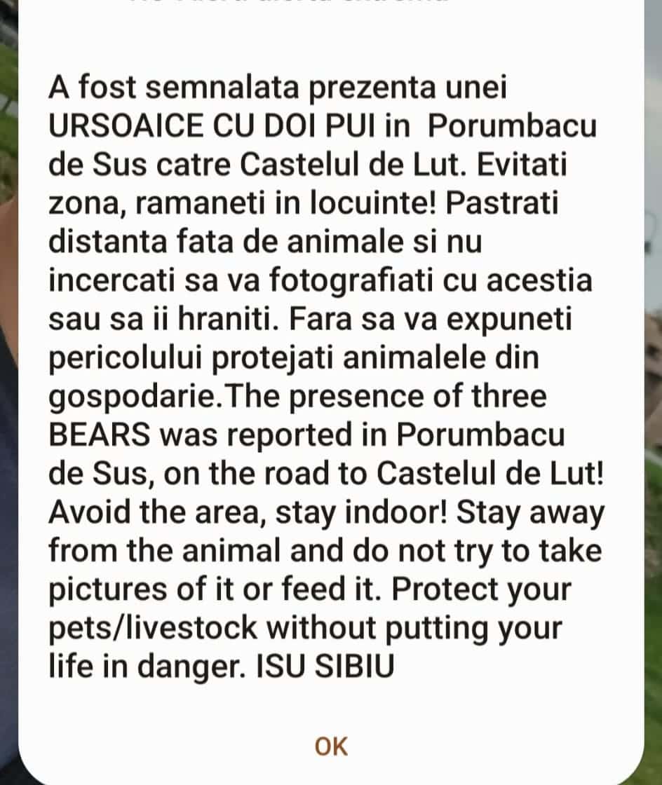 Alertă la Castelul de Lut din Porumbacu de Sus după ce a fost semnalată prezența unei ursoaice cu doi pui