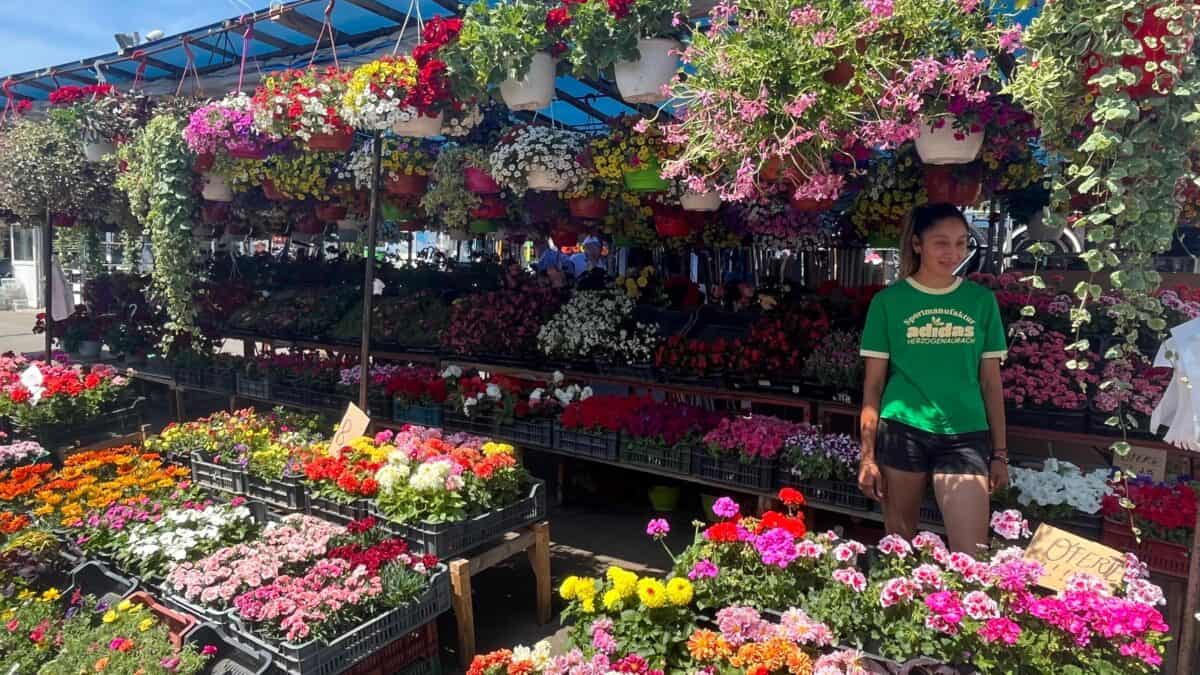 Dușmanul cel mai aprig al comercianților din piețele Sibiului: „Nouă cu florile ne e cel mai greu”