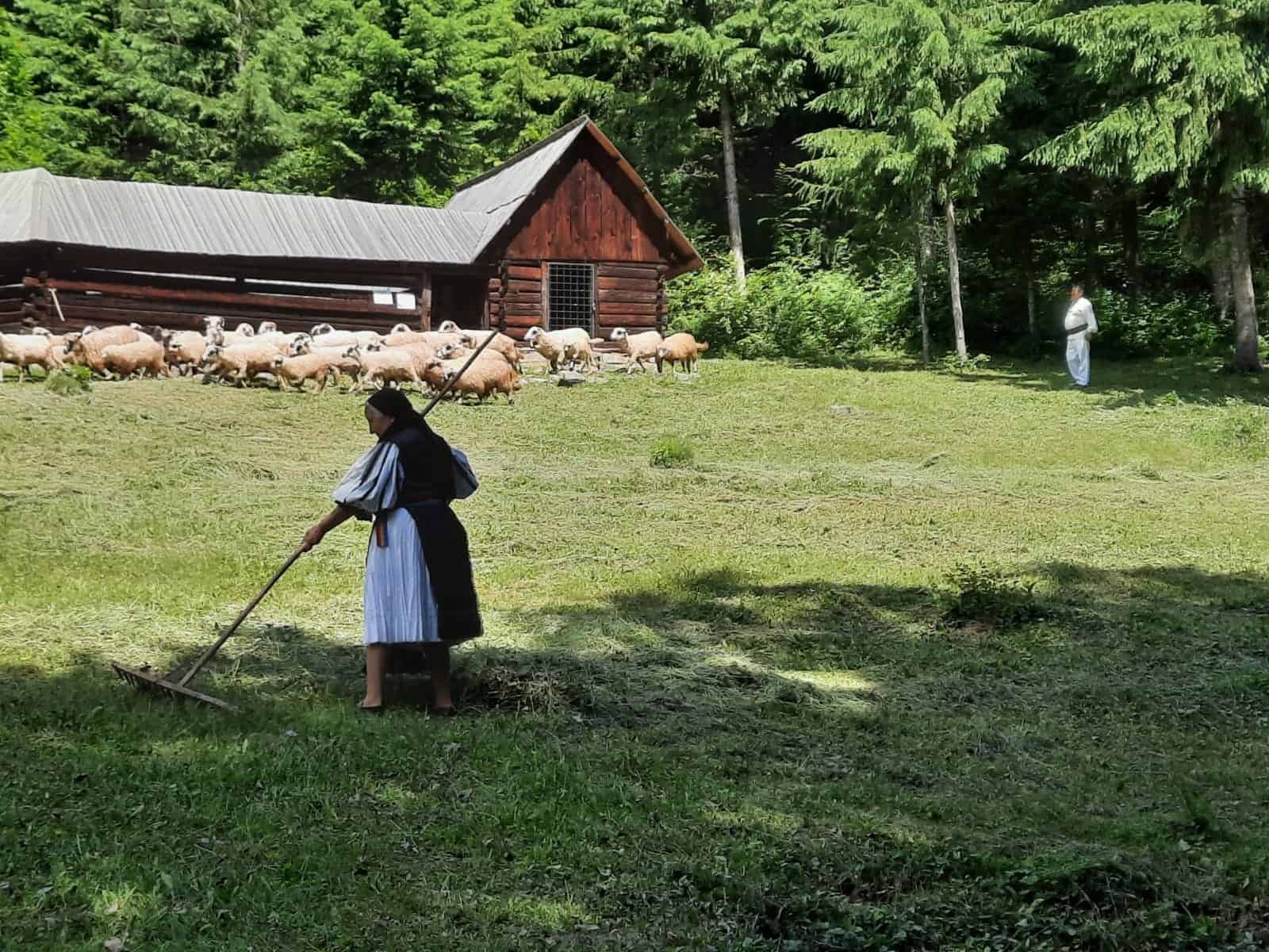 Sfârșit de săptămână ca pe crestele muntelui la Muzeul ASTRA