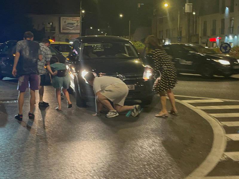 sensul giratoriu de pe milea blocat pentru a salva un porumbel lovit (foto video)