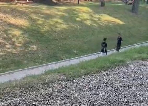 doi tineri dusi la politie după ce s-au șicanat cu cuțitele în parcul cetății (video)