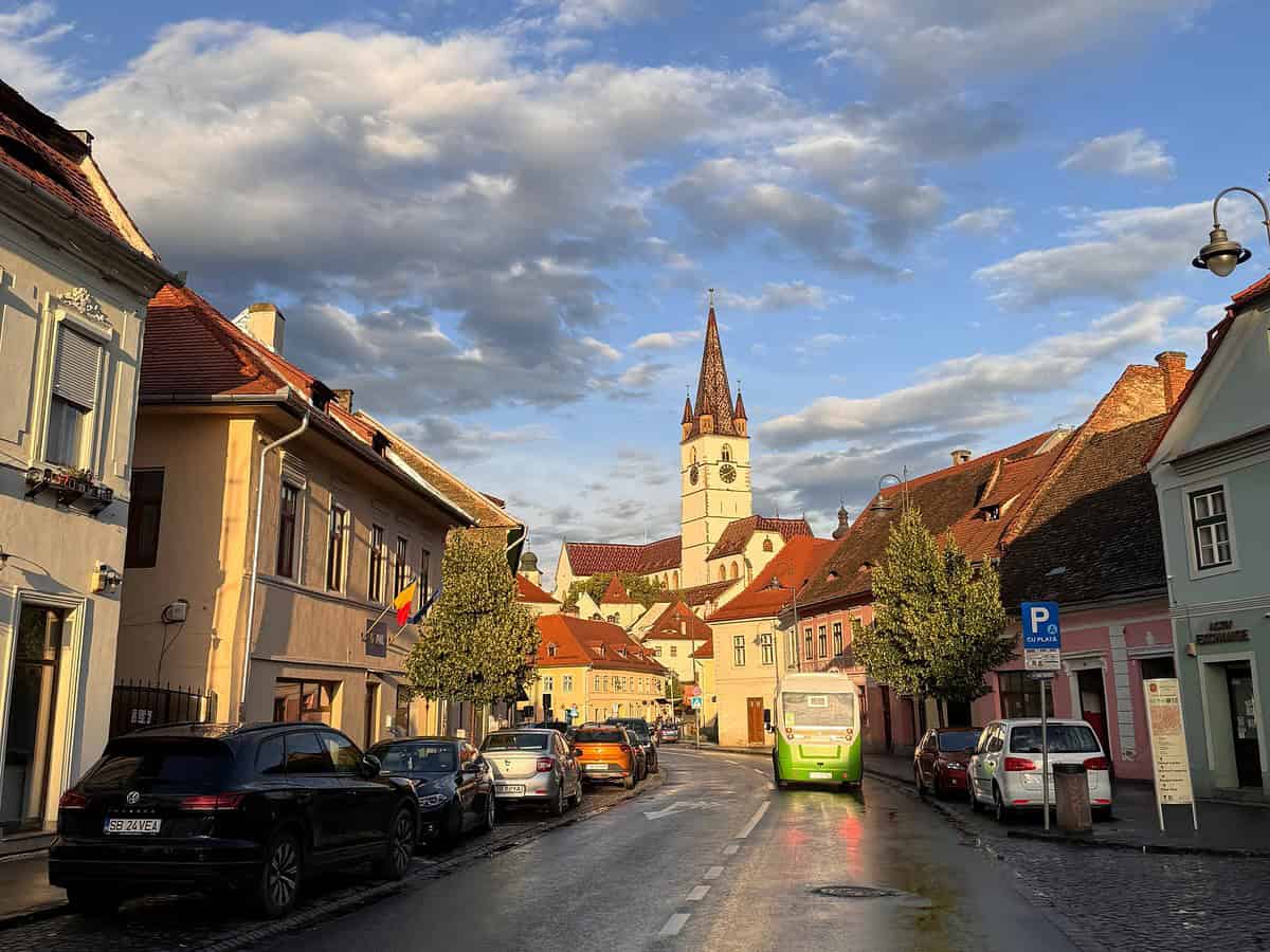 problemele semnalate de un consilier local la o plimbare prin centrul sibiului. „un turist a dat cu capul într-un panou pus prea jos”