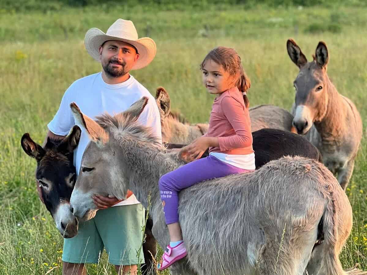 Un sibian și-a deschis la Nocrich o fermă de măgari (foto)