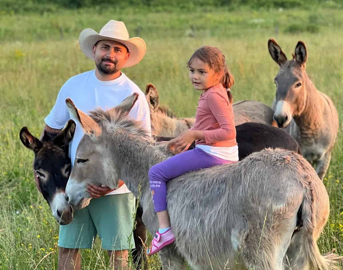 Un sibian și-a deschis la Nocrich o fermă de măgari (foto)