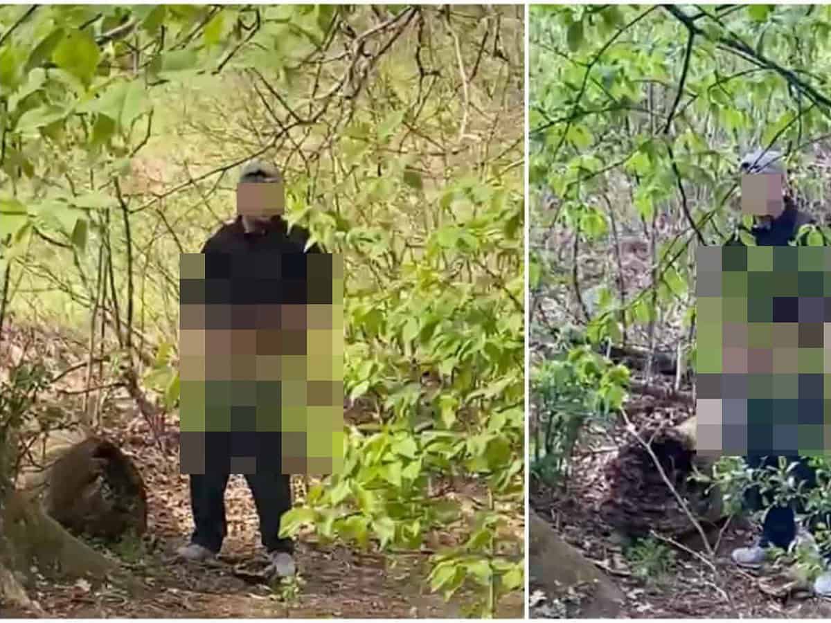 Un individ care s-a masturbat în Parcul Sub Arini a scăpat de închisoare după ce și-a recunoscut fapta și a zis că era beat