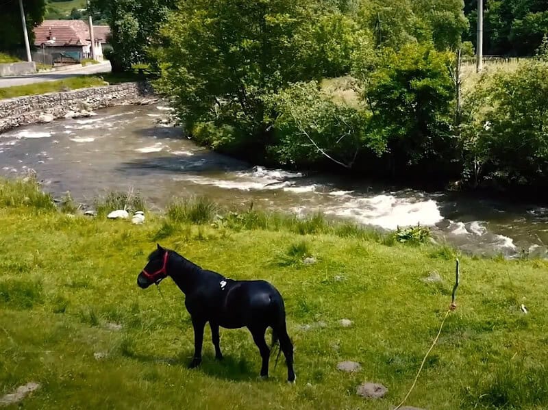 explicația directorului apă canal sibiu despre contaminarea cu fecale a apei captate din râu sadului