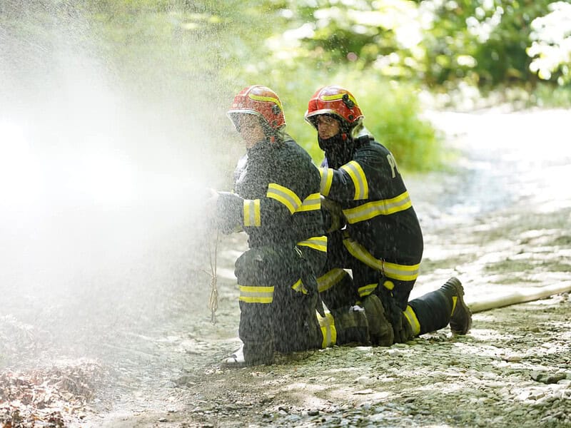 simulare de incendiu de pădure la arpașu de sus. au participat zeci de pompieri (foto)