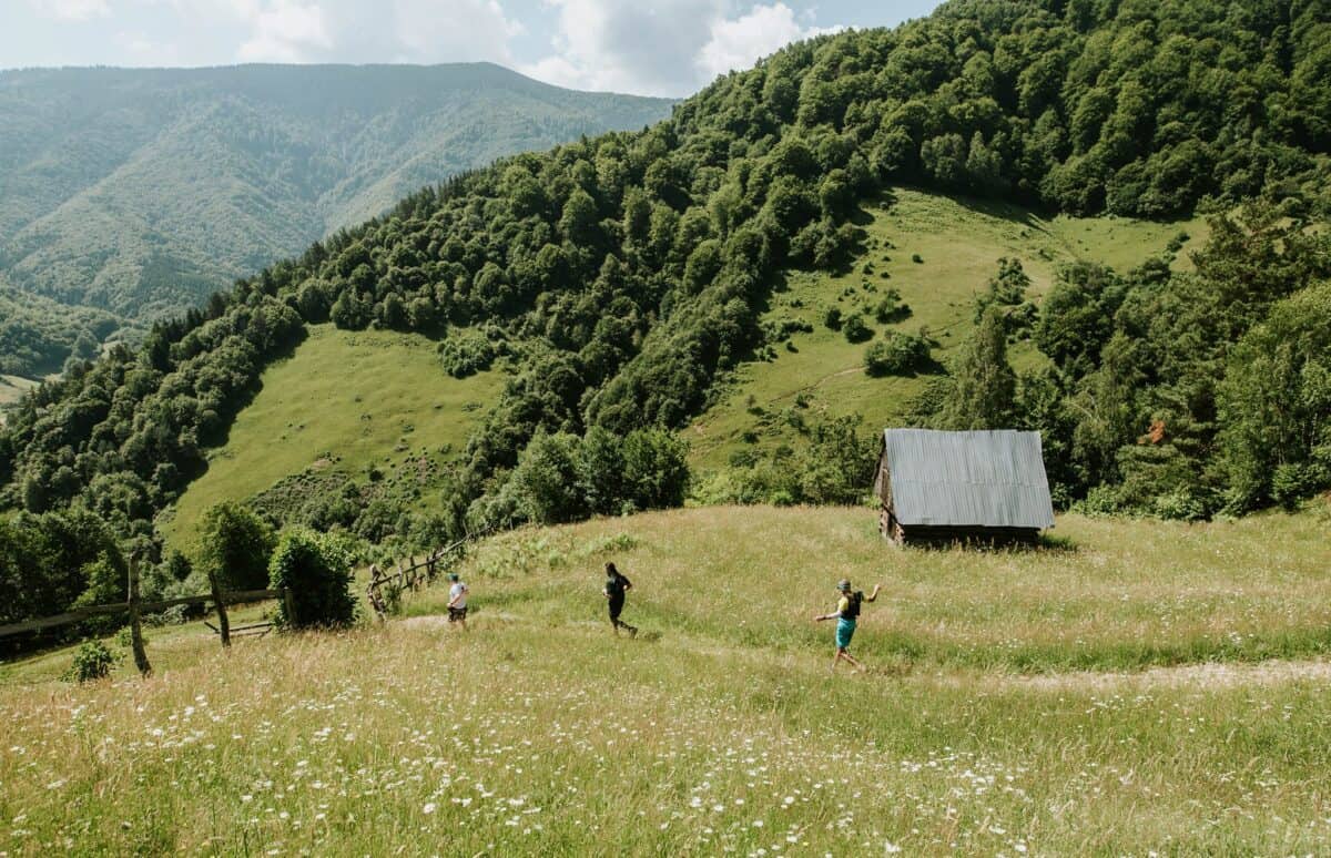 concurs de alergare montană la râu sadului cu premii în brânză de burduf