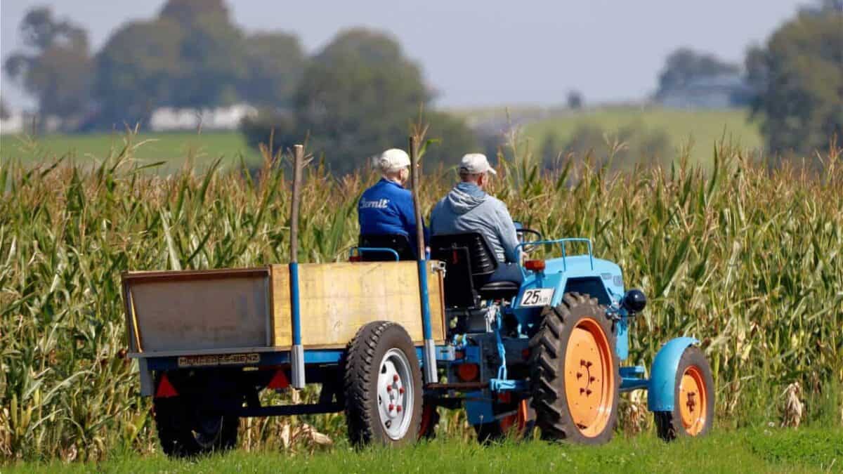 fermierii afectați de caniculă ar putea beneficia de amânarea creditelor