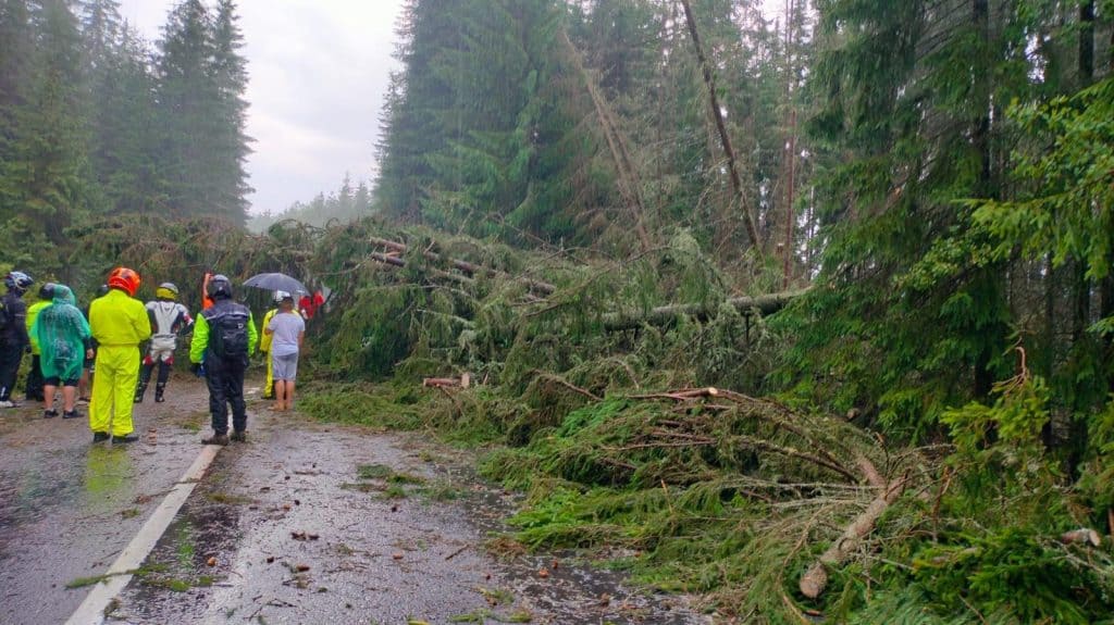 Furtuna puternică pe Transalpina în apropiere de Jina. Zeci de arbori doborâți și trafic blocat (foto)