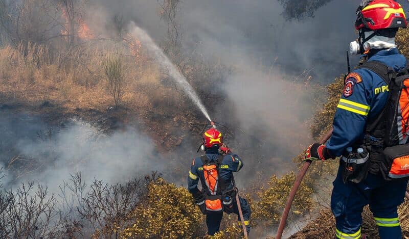 român piroman arestat la atena pentru provocarea unui incendiu de vegetație (video)