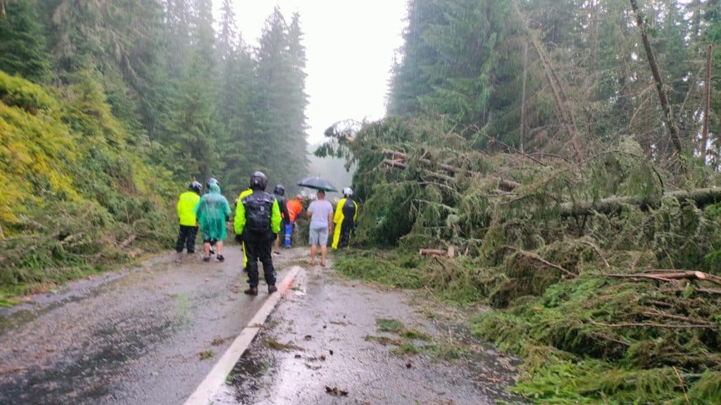 Furtuna puternică pe Transalpina în apropiere de Jina. Zeci de arbori doborâți și trafic blocat (foto)