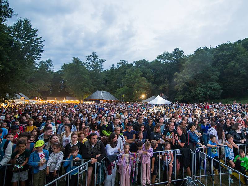 vineri începe vinfest. muzeul astra, gazda celor mai rafinate vinuri, acompaniate de concerte cu andia, vunk și șuie paparude