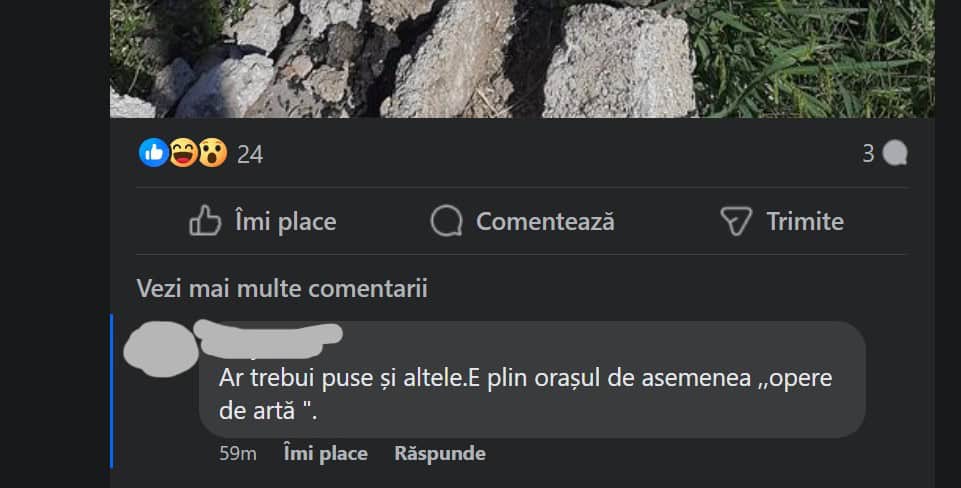 Locuitorii din Cisnădie au „înmormântat” actuala administrație: DNA-ul să nu-i ierte”