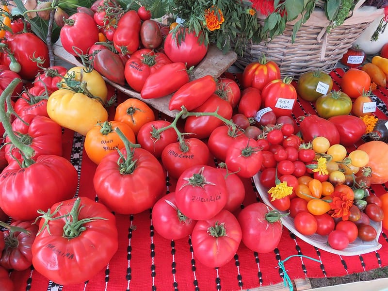 weekend cu grădinărit, produse tradiționale și daruri în semințe la festivalul tomatelor și biodiversității din muzeul astra