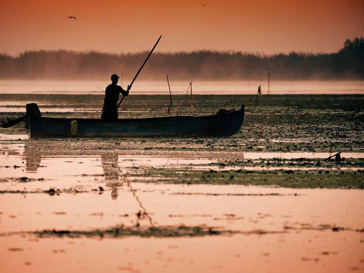 reguli noi pentru pescarii care merg în deltă din cauza scăderii cotelor dunării