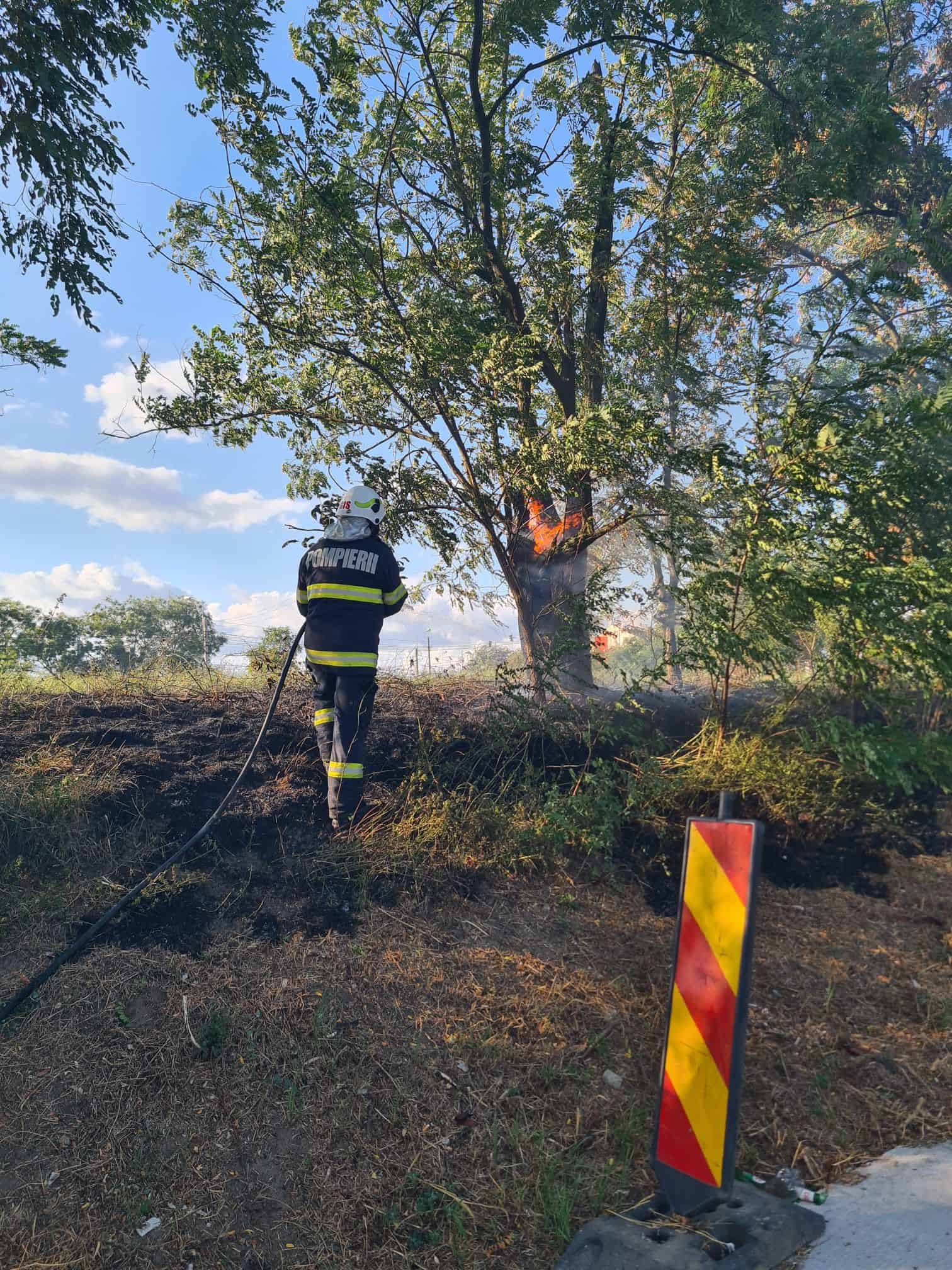 Incendii de vegetație weekendul trecut la Avrig, Mediaș, Bungard și Sibiu (foto)