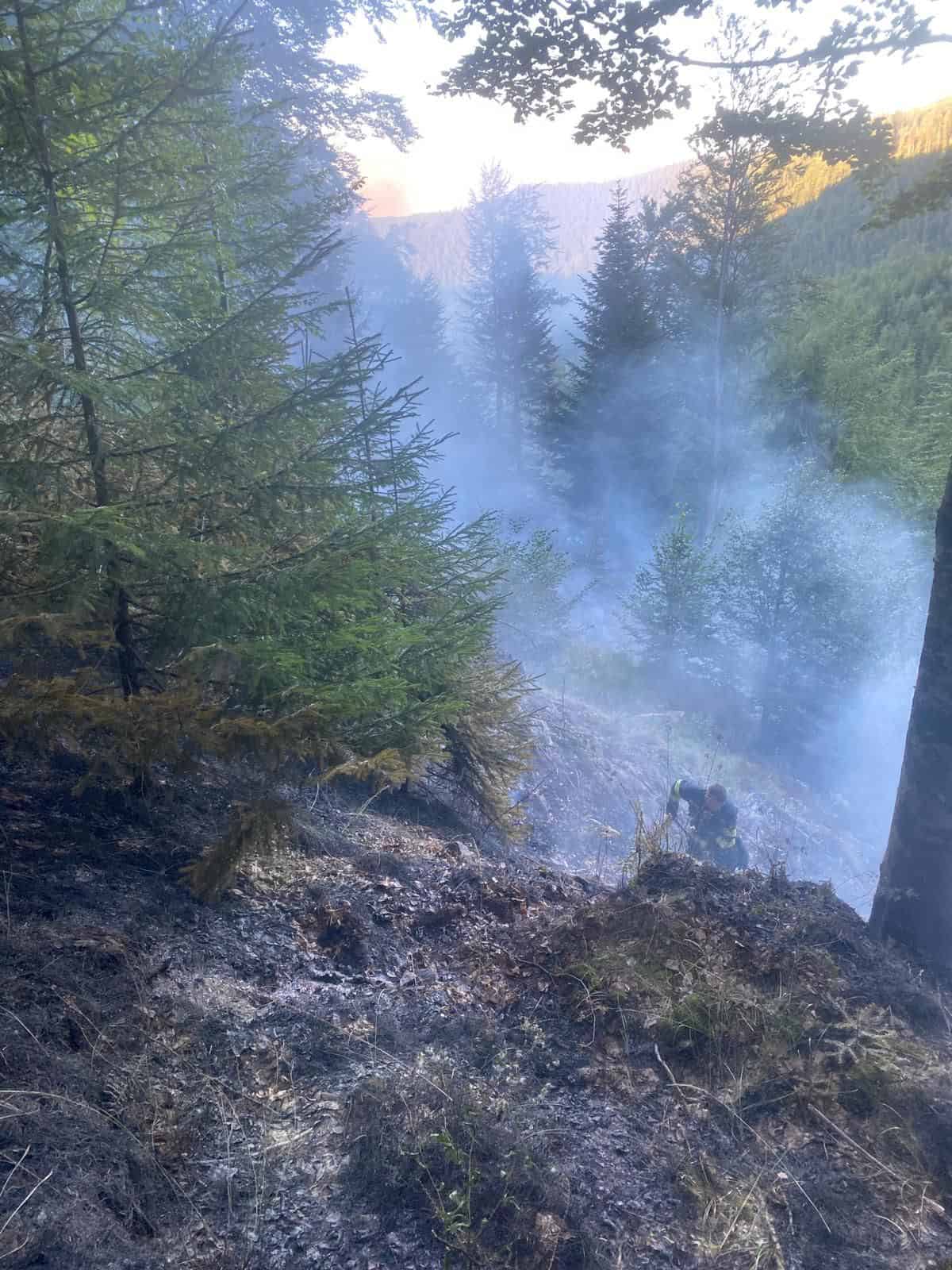 Incendiu uriaș de pădure la Păltiniș. A fost declanșat de accidentul mortal de luni cu ATV-ul (foto, video)