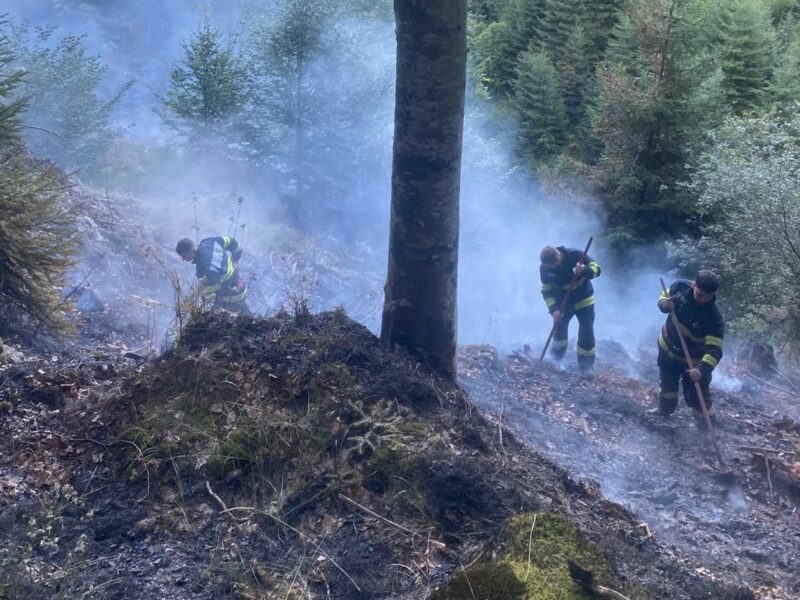 incendiu uriaș de pădure la păltiniș. a fost declanșat de accidentul mortal de luni cu atv-ul (foto, video)