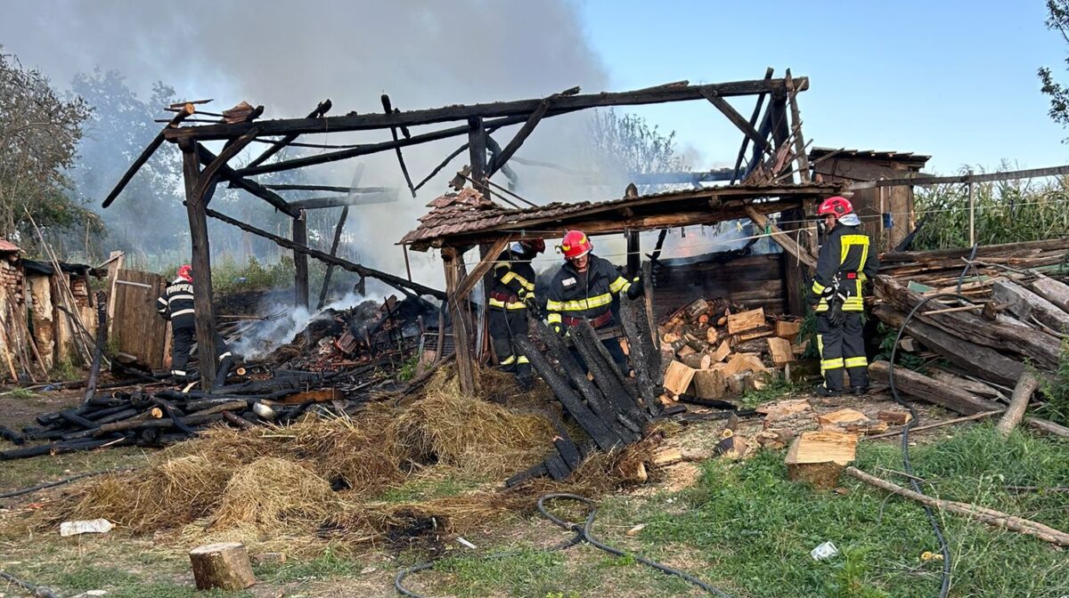 Incendii de vegetație weekendul trecut la Avrig, Mediaș, Bungard și Sibiu (foto)