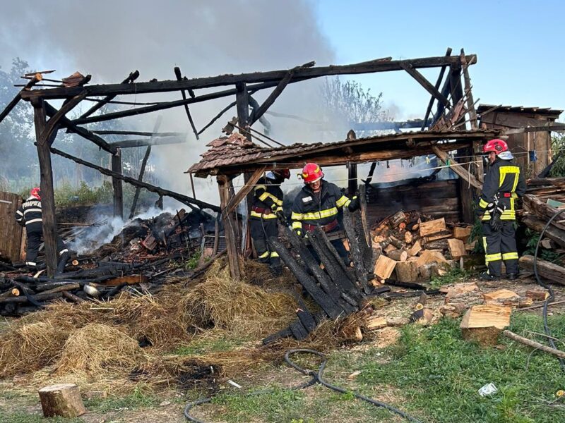 Incendii de vegetație weekendul trecut la Avrig, Mediaș, Bungard și Sibiu (foto)