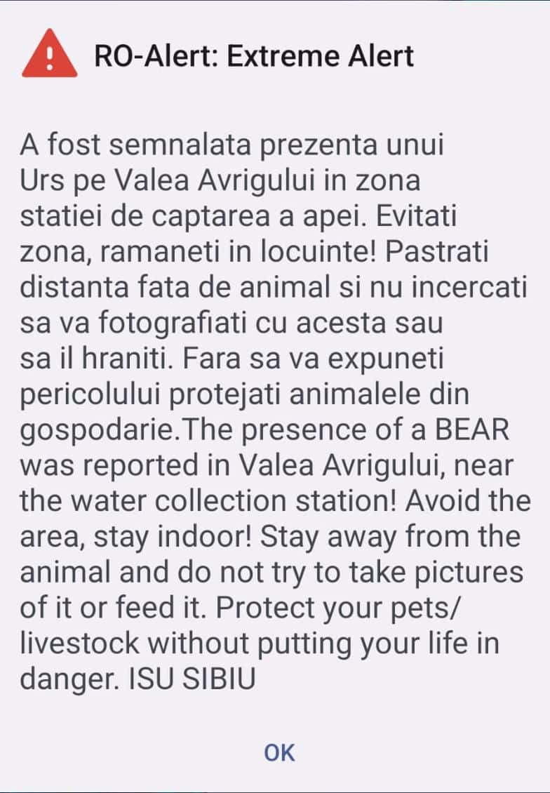 Urs văzut pe Valea Avrigului. Populația alertată prin mesaj Ro-Alert