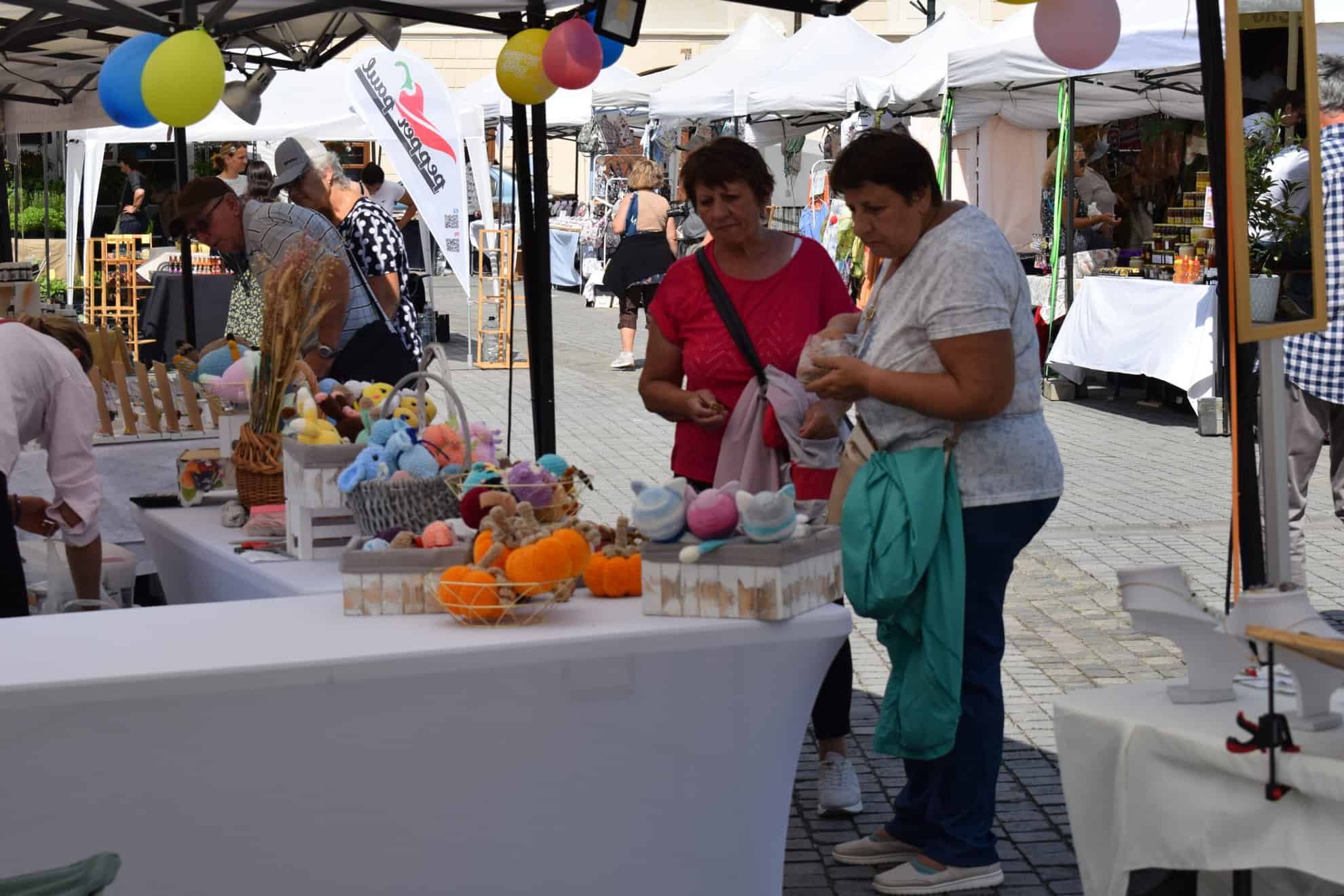 Mihaela Bălan, creatoarea din Sibiu care sfidează producția în masă cu haine sustenabile din lână merinos