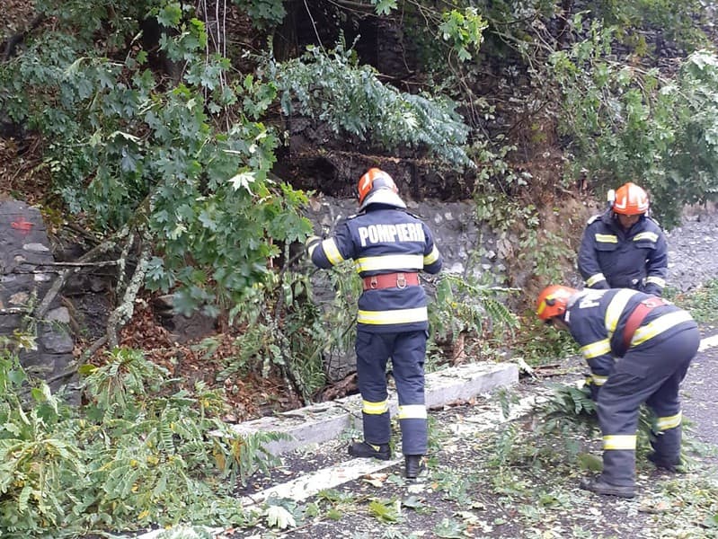 trafic îngreunat pe dn7 la călimănești din cauza unui copac căzut pe carosabil